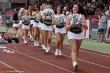 Thumbs/tn_IMG_8413.jpg