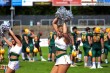 Thumbs/tn_IMG_8647.jpg