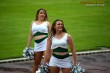 Thumbs/tn_IMG_3139.jpg