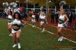 Thumbs/tn_IMG_1678.jpg