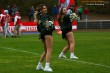 Thumbs/tn_IMG_2252.jpg