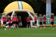 Thumbs/tn_IMG_8533.jpg