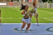 Thumbs/tn_IMG_8928.jpg