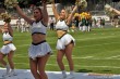 Thumbs/tn_IMG_8967.jpg