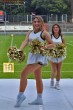 Thumbs/tn_IMG_9119.jpg