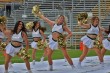 Thumbs/tn_IMG_9339.jpg