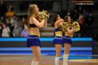 Thumbs/tn_IMG_9253.jpg