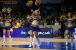 Thumbs/tn_IMG_6980.jpg
