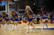Thumbs/tn_IMG_7043.jpg