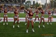 Thumbs/tn_IMG_8099.jpg
