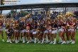 Thumbs/tn_IMG_8263.jpg