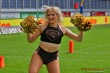 Thumbs/tn_IMG_1944.jpg