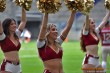 Thumbs/tn_IMG_3981.jpg