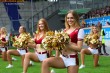 Thumbs/tn_IMG_7822.jpg