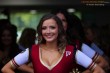 Thumbs/tn_IMG_1935.jpg