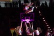 Thumbs/tn_IMG_0257.jpg