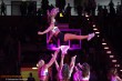 Thumbs/tn_IMG_0263.jpg
