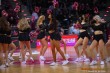 Thumbs/tn_IMG_9397.jpg