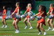 Thumbs/tn_IMG_6774.jpg
