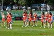Thumbs/tn_IMG_6910.jpg