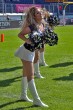Thumbs/tn_155856_IMG_1143.jpg