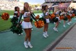 Thumbs/tn_IMG_7193.jpg