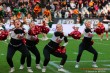 Thumbs/tn_IMG_7834.jpg