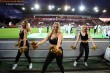 Thumbs/tn_IMG_8392.jpg
