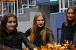 Thumbs/tn_IMG_9327.jpg