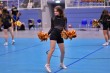 Thumbs/tn_IMG_9532.jpg