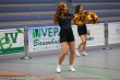 Thumbs/tn_IMG_9788.jpg