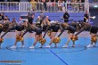 Thumbs/tn_IMG_4845.jpg