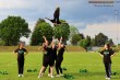 Thumbs/tn_IMG_9767.jpg