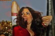 Thumbs/tn_IMG_9856.jpg