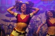 Thumbs/tn_IMG_6367.jpg