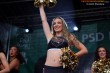 Thumbs/tn_IMG_9019.jpg