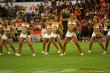 Thumbs/tn_163521-IMG_1243.jpg