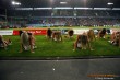 Thumbs/tn_171949-IMG_1168.jpg