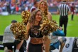 Thumbs/tn_IMG_3844.jpg