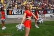 Thumbs/tn_IMG_3849.jpg