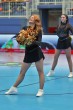 Thumbs/tn_IMG_7216.jpg