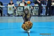 Thumbs/tn_JMG_0434.jpg