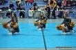 Thumbs/tn_JMG_0493.jpg