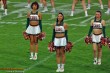 Thumbs/tn_JMG_1308.jpg