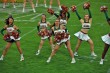 Thumbs/tn_JMG_1313.jpg