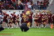 Thumbs/tn_IMG_6613.jpg