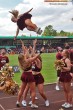 Thumbs/tn_IMG_9053.jpg