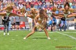 Thumbs/tn_IMG_7403.jpg