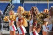 Thumbs/tn_IMG_8055.jpg
