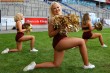 Thumbs/tn_IMG_8738.jpg